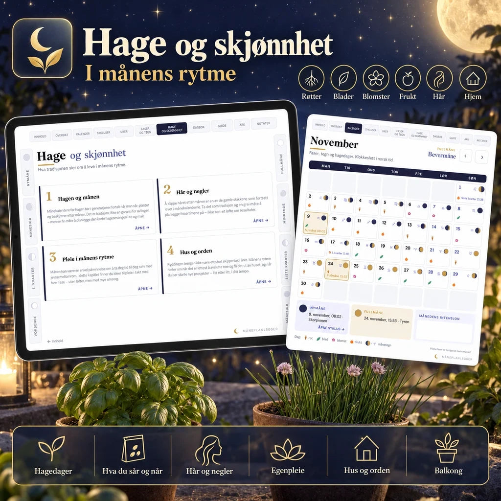 Måneplanlegger